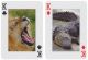 Колекционерски карти за игра Piatnik - Animals of the Wild