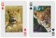 Колекционерски карти за игра Piatnik - Animals of the Wild